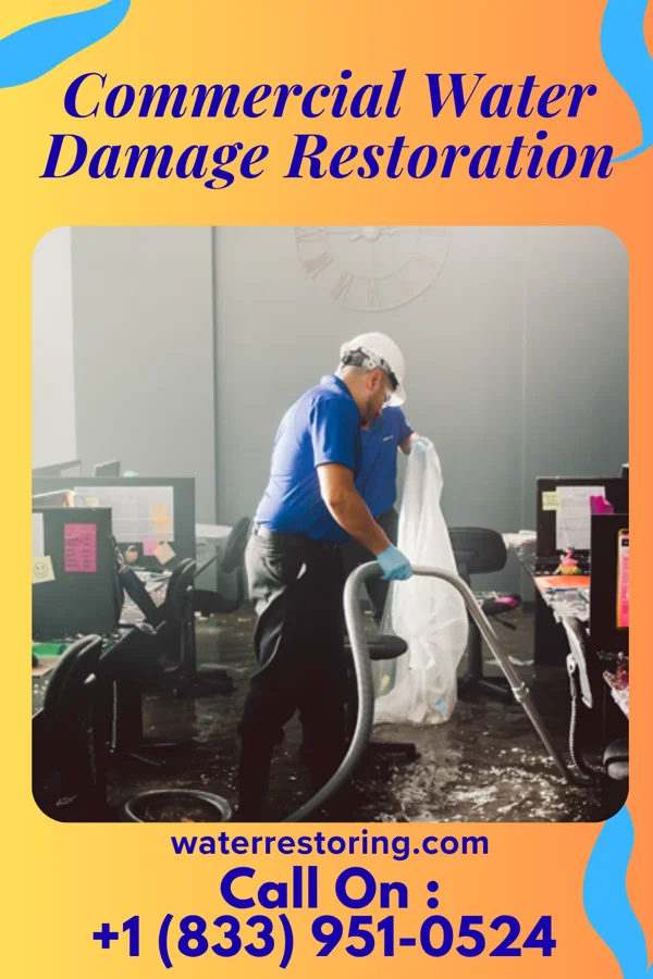 Commercial Water Damage Restoration in Delmar, DE