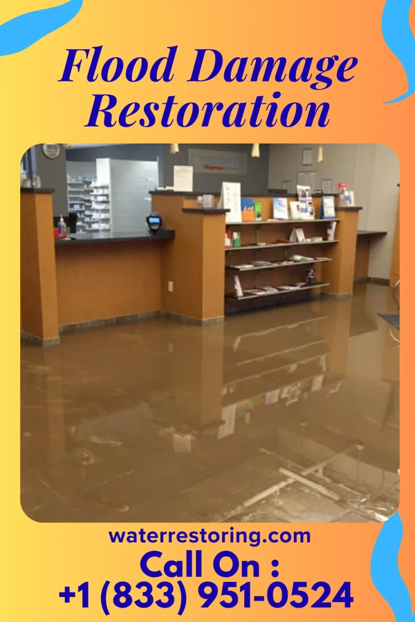 Flood Damage Restoration in Delmar, DE
