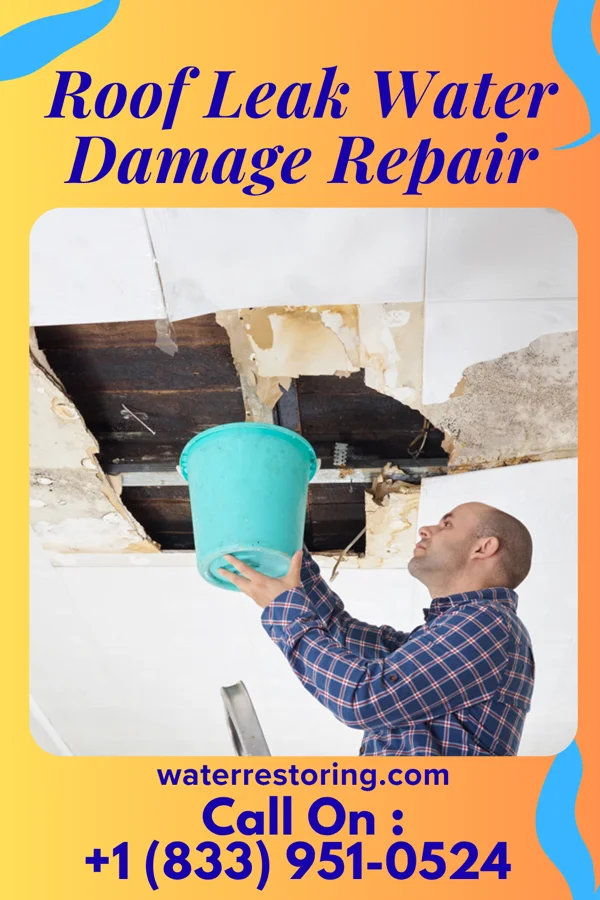 Roof Leak Water Damage Repair in Delmar, DE