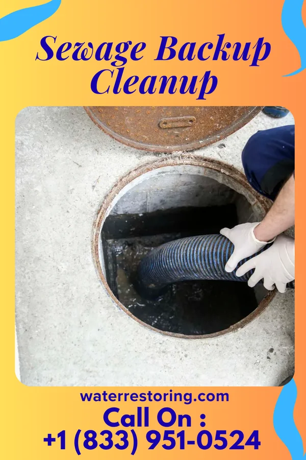 Sewage Backup Cleanup in Delmar, DE