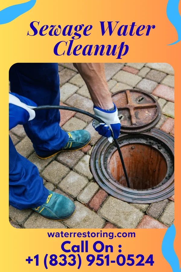 Sewage Water Cleanup in Delmar, DE